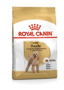 Dog Poodle Adult 1,5 kg