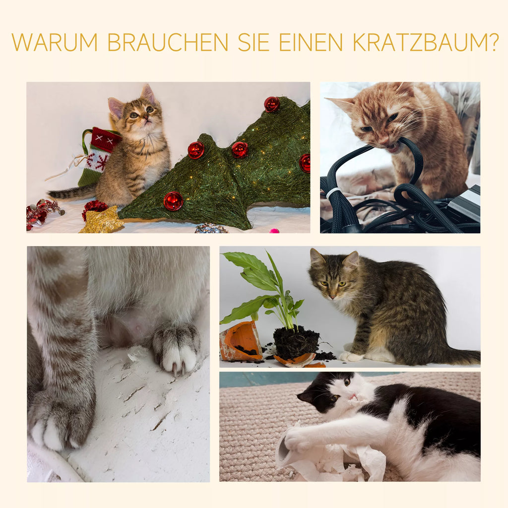 Kaķu māja līdz griestiem, regulējams augstums, stabils kaķu koks ar sizala stabiem, kaķu kāpšanas koks, bēšs, 40 x 34 x 230-260 cm