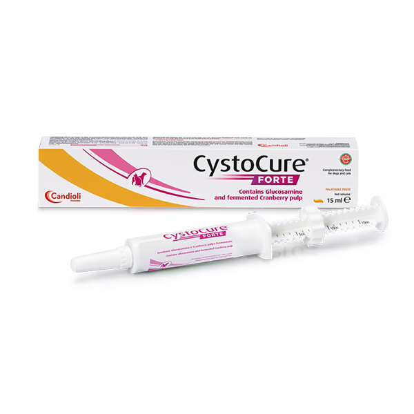 Candioli Cystocure Forte pasta šlapimo takų veiklai šunims ir katėms, 15 ml