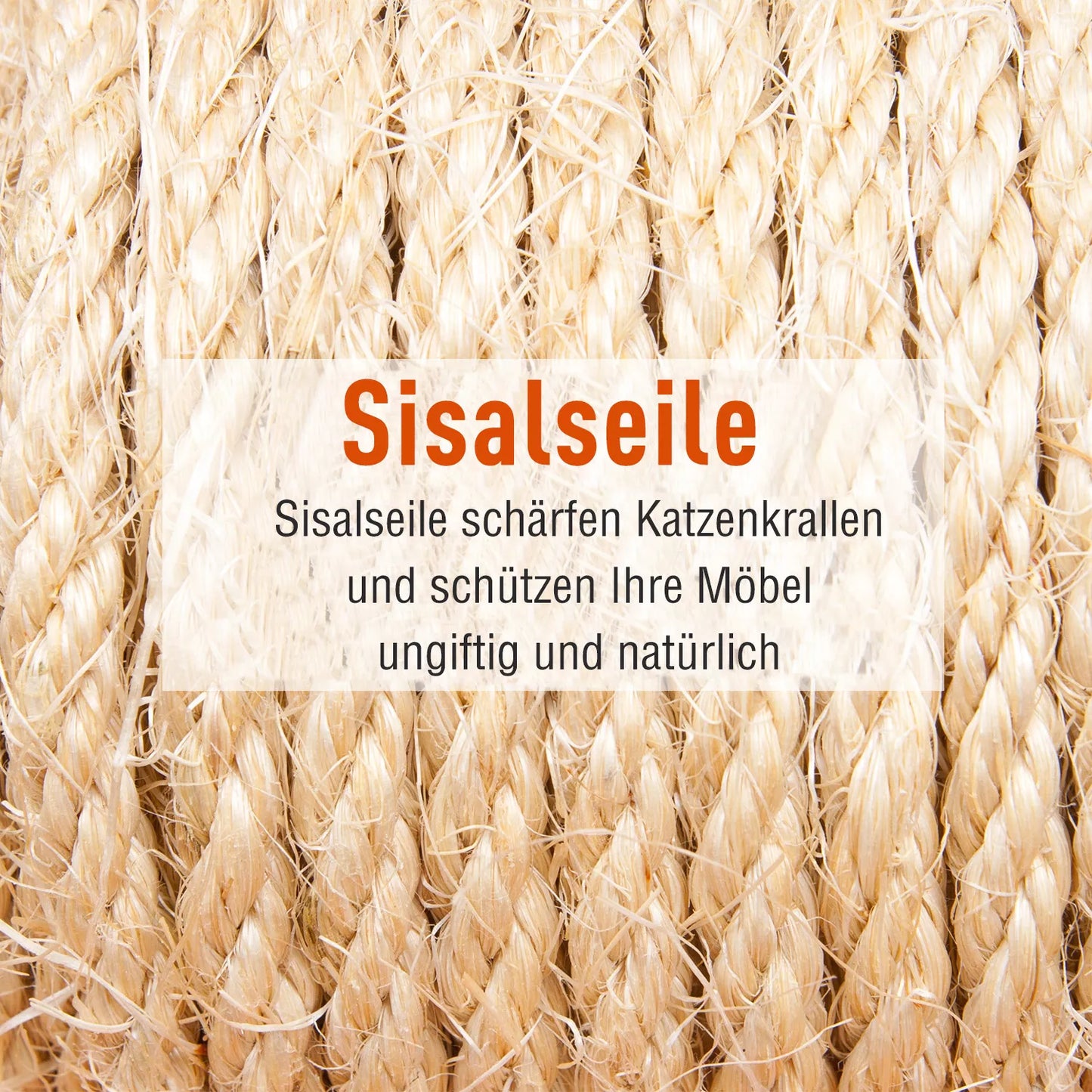 XXL kačių draskymo medis su kačių guoliu ir kopetėlėmis, daugiaaukštis daugiafunkcis pramogų centras katėms, pliušas, pilka, 49 x 49 x 173 cm