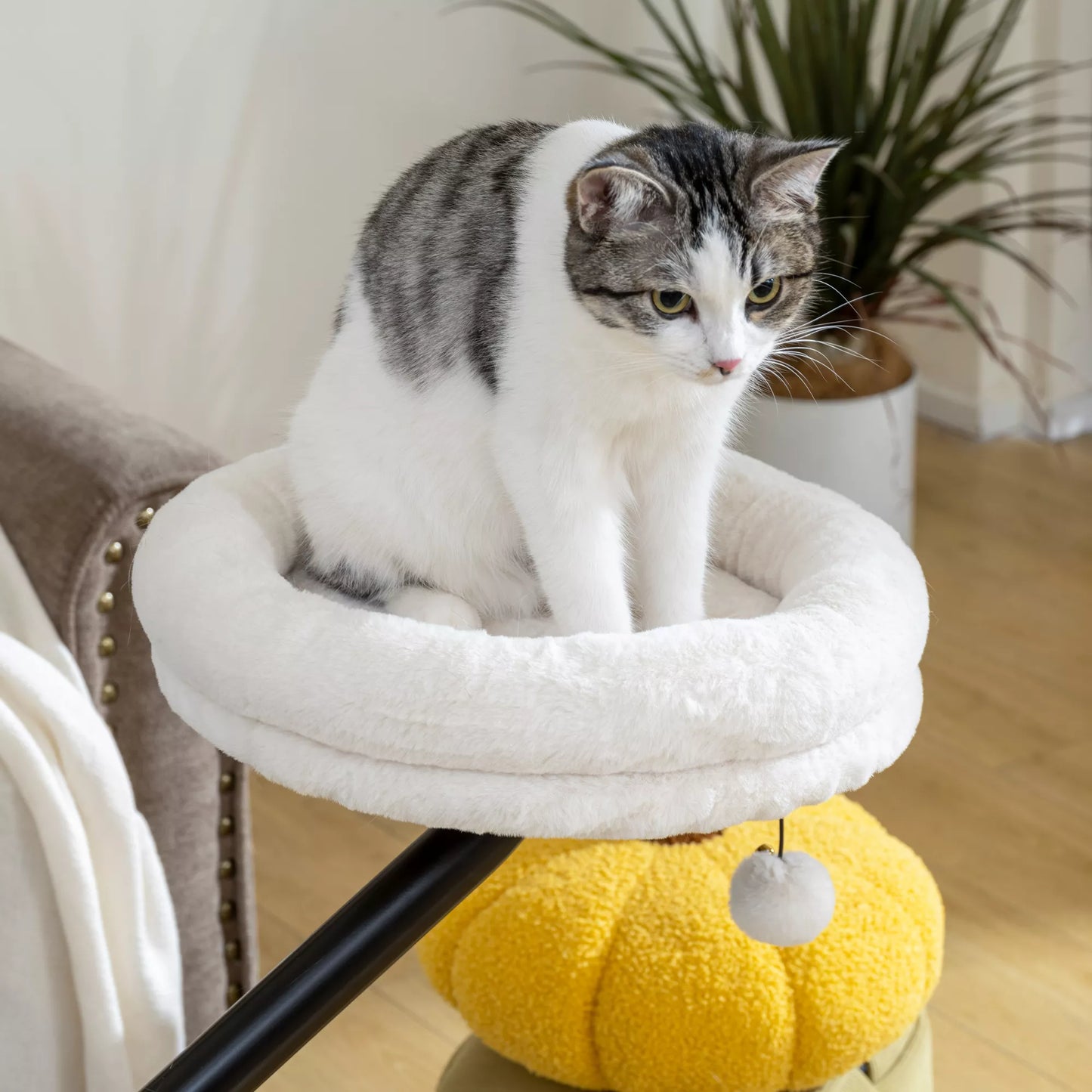 Kaķu gulta pie rakstāmgalda, kaķu gulta pie rakstāmgalda ar 360° rotāciju, regulējams augstums, kaķu gulta ar noņemamu, veļas mašīnā mazgājamu spilvenu, kaķiem līdz 6 kg, mājas birojam, krēmbalta