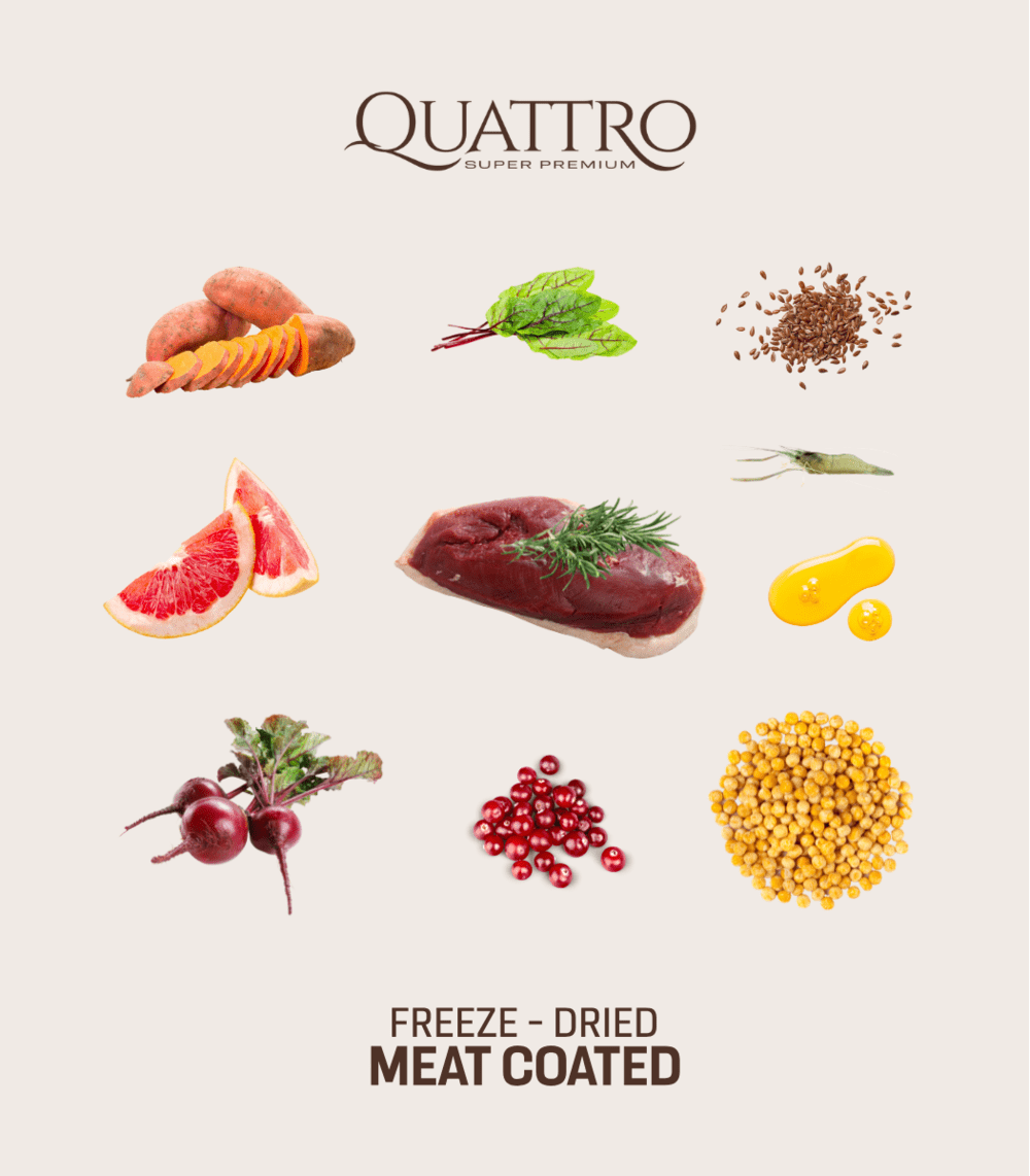 Quattro Small Breed Junior Sausas pašaras jauniems mažų veislių šunims su antiena