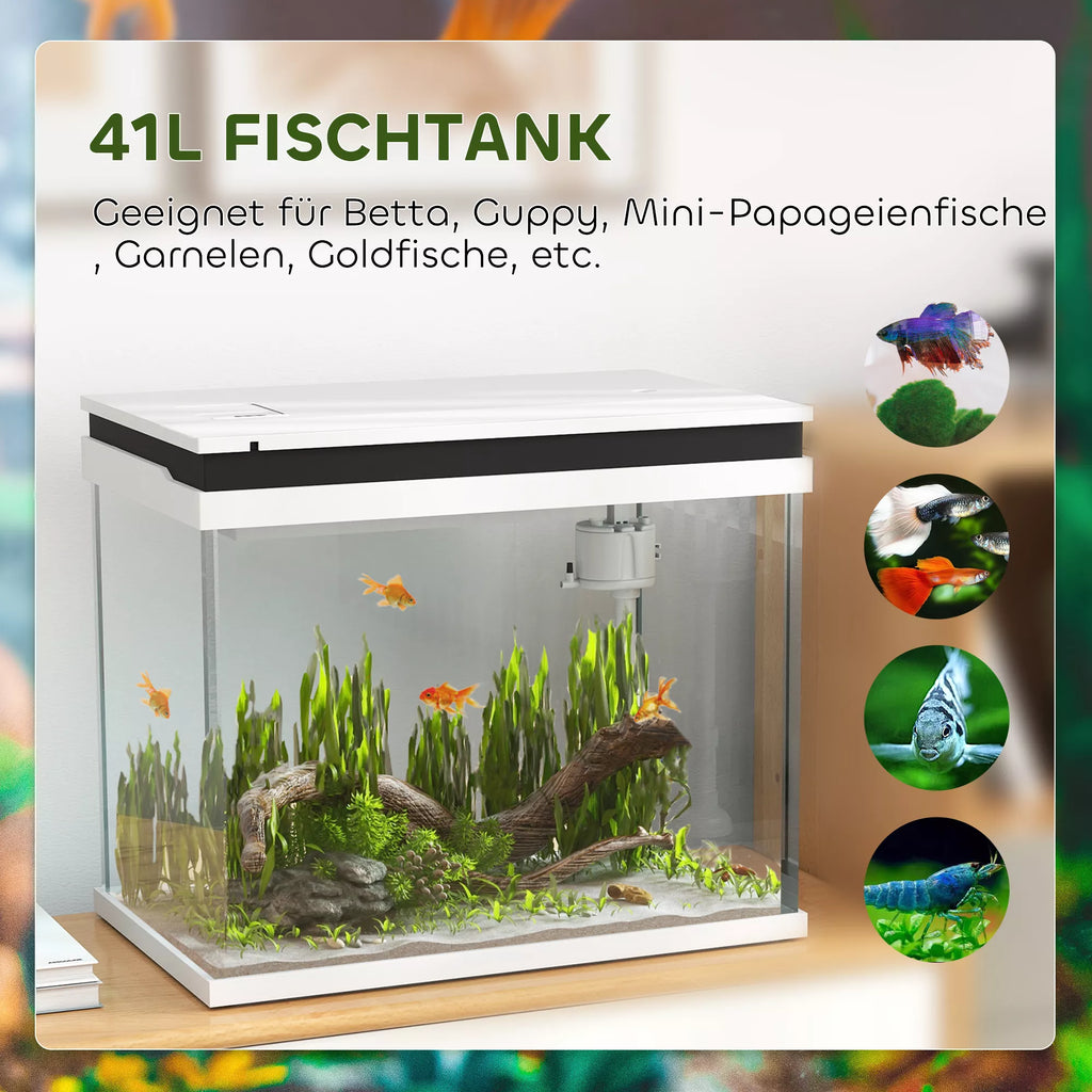 41 litru stikla akvārijs ar filtrācijas sistēmu, LED apgaismojumu, ūdens sūkni, dažādām zivju sugām, balts