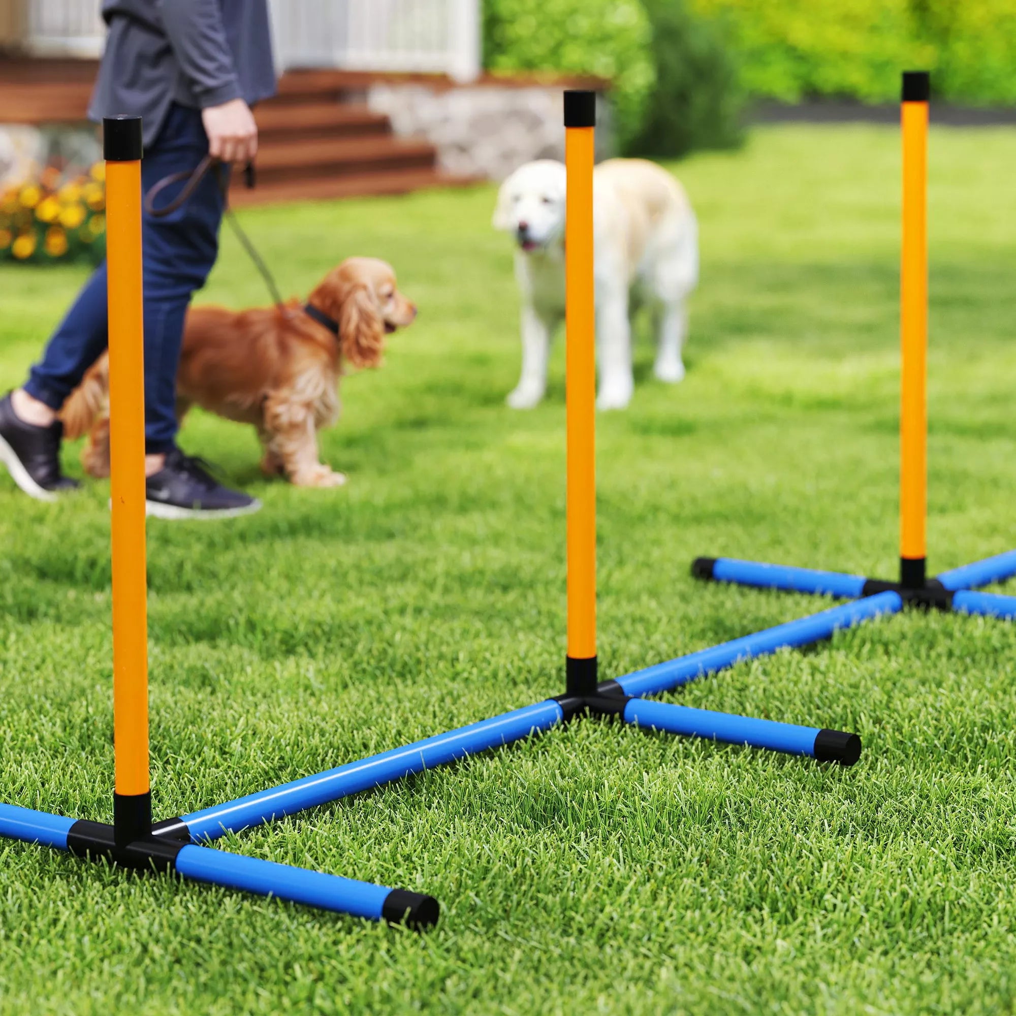 Agility rinkinys šunims, 7 dalys. Agility įranga šunų dresūrai. Sudedamų kliūčių rinkinys žaidimams ir treniruotėms.