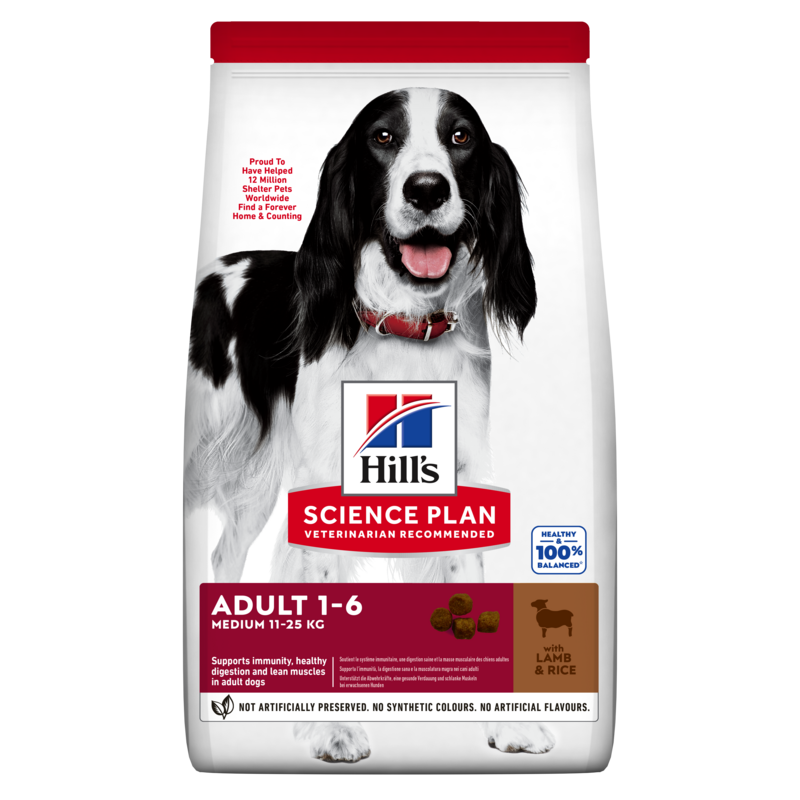 Hill's Science Plan Adult Lamb & Rice sausas maistas su ėriena šunims
