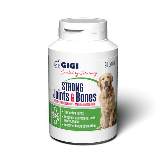 GIGI STRONG Joints & Bones papildas mažų ir vidutinių veislių šunų sąnariams ir kaulams - 30 tab.