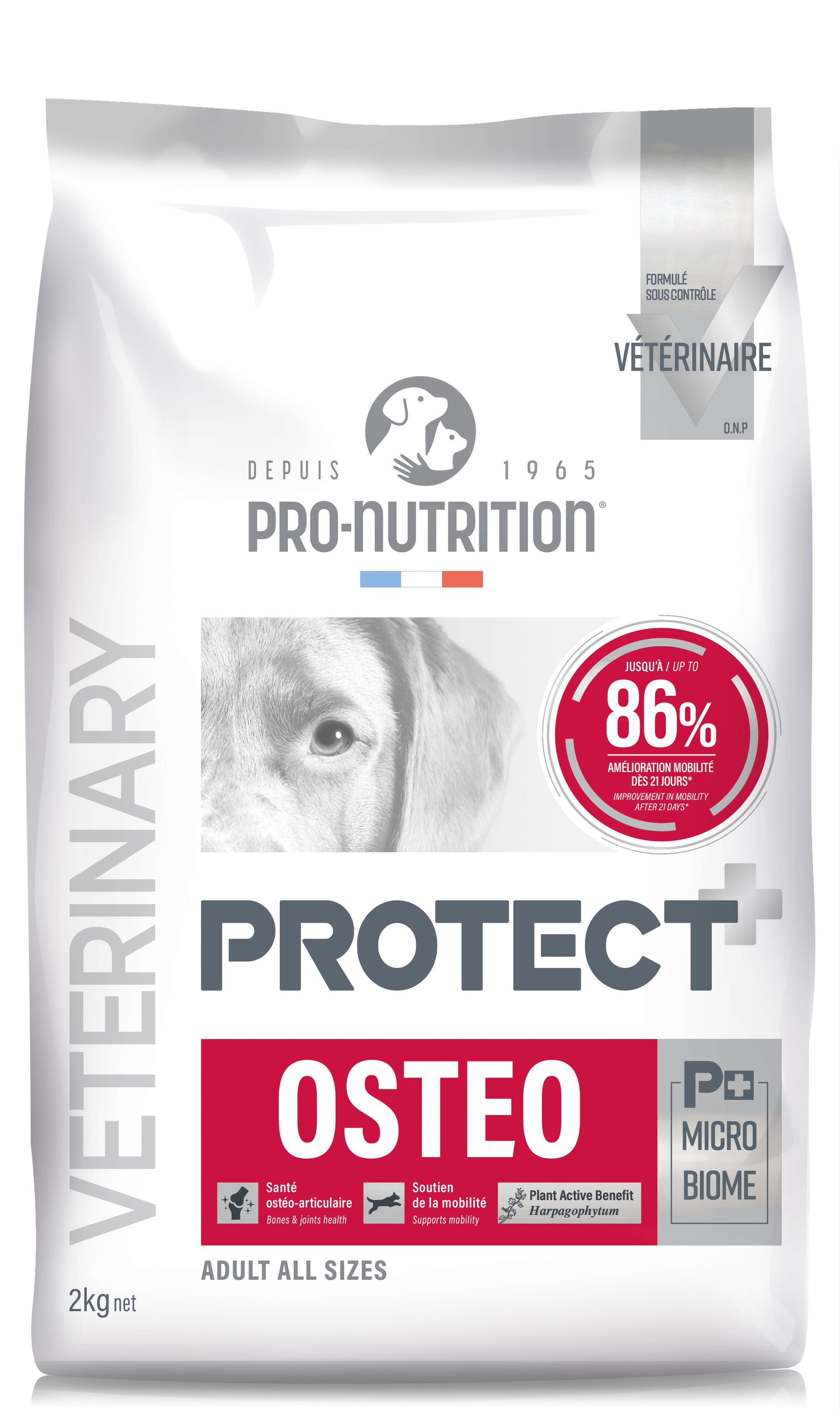PRO-NUTRITION PROTECT OSTEO, subalansuotas sausas pašaras šunims, turintiems sąnarių problemų,2-12kg - 12 kg