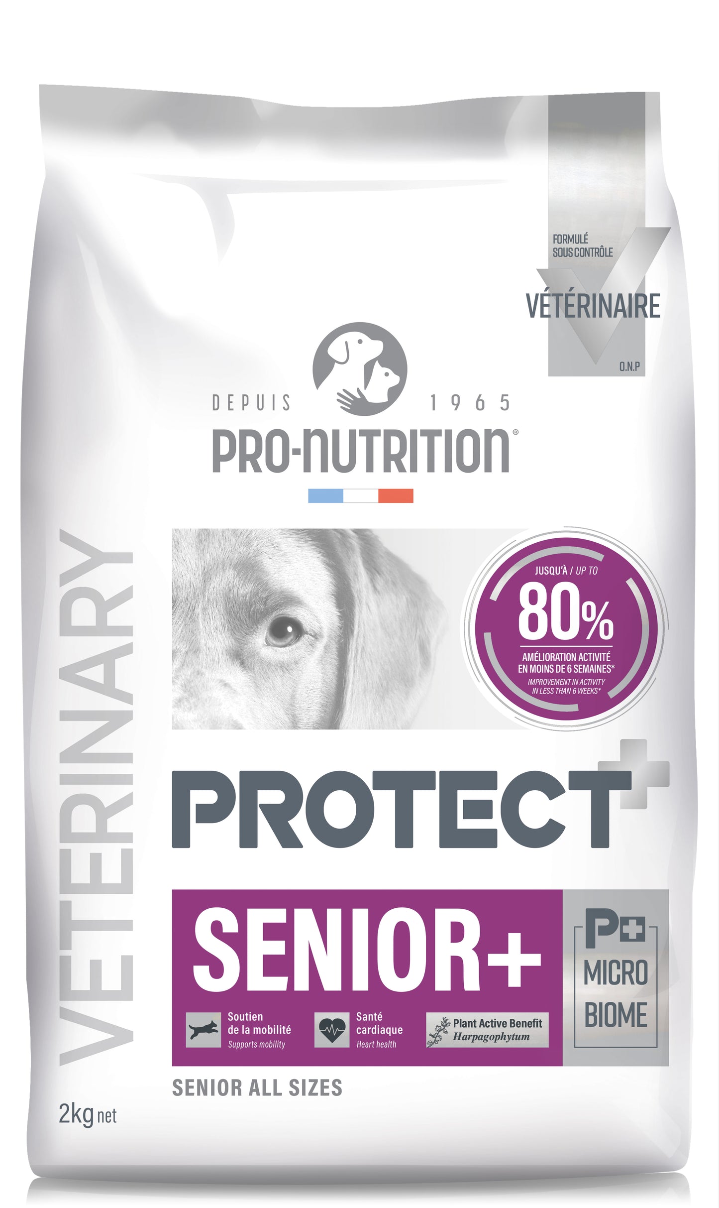PRO-NUTRITION PROTECT SENIOR, subalansuotas dietinis pašaras vyresnio amžiaus šunims 12 kg