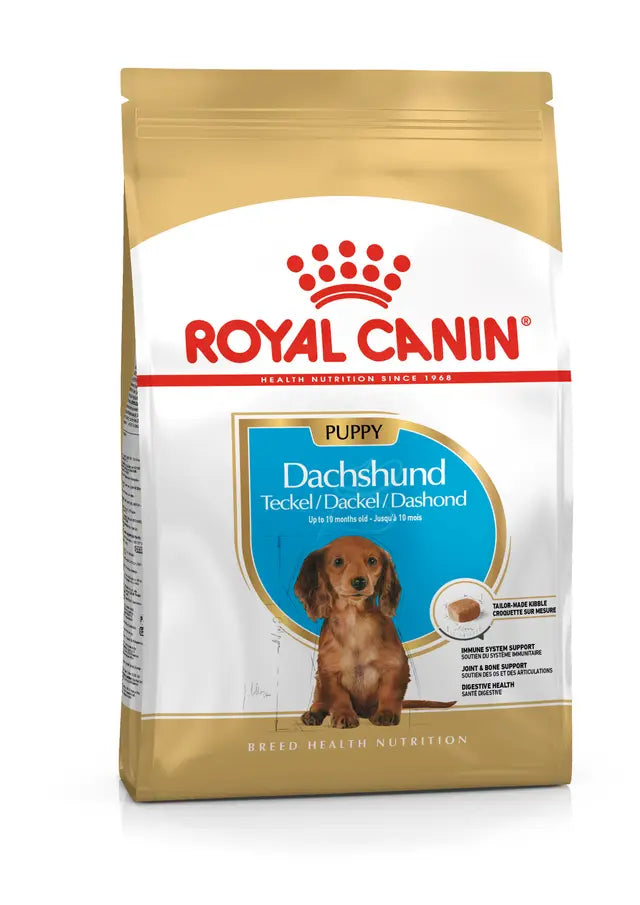 Royal Canin taksų šuniukams - Iki 10 mėnesių amžiaus