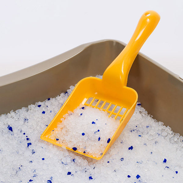 Expertus Silica Gel silikoninis kraikas katėms, 10 l