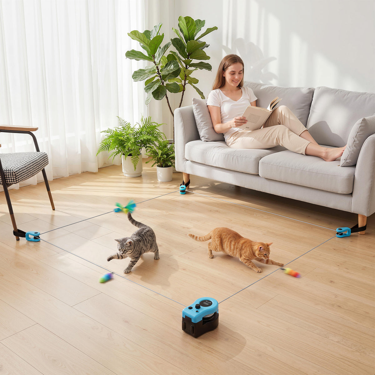Automatinis žaislas katėms su nuotolinio valdymo pulteliu, reguliuojamu greičiu ir keičiama trasa, juodas