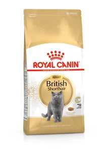 Royal Canin British shorthair  Adult