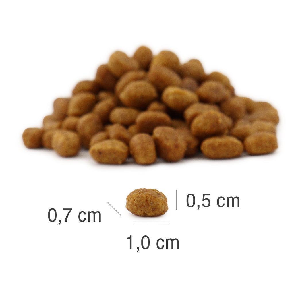 Platinum MeatCrisp sausā barība pieaugušiem kaķiem ar zivīm