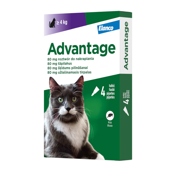ADVANTAGE 80 katėms virš 4kg N4