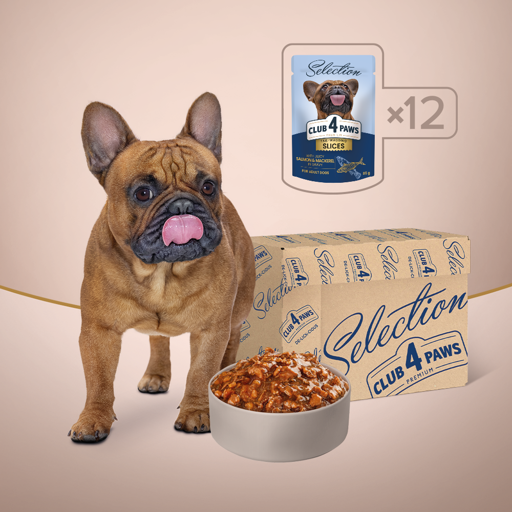 CLUB 4 PAWS Premium plus konservuotas ėdalas suaugusiems mažų veislių šunims su lašiša ir skumbre padaže 12x0.085 kg pakuotė