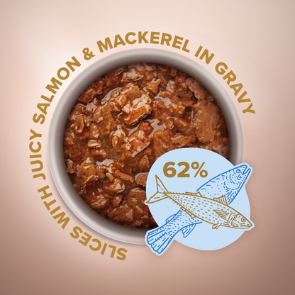 CLUB 4 PAWS Premium plus konservuotas ėdalas suaugusiems mažų veislių šunims su lašiša ir skumbre padaže 12x0.085 kg sudėtis