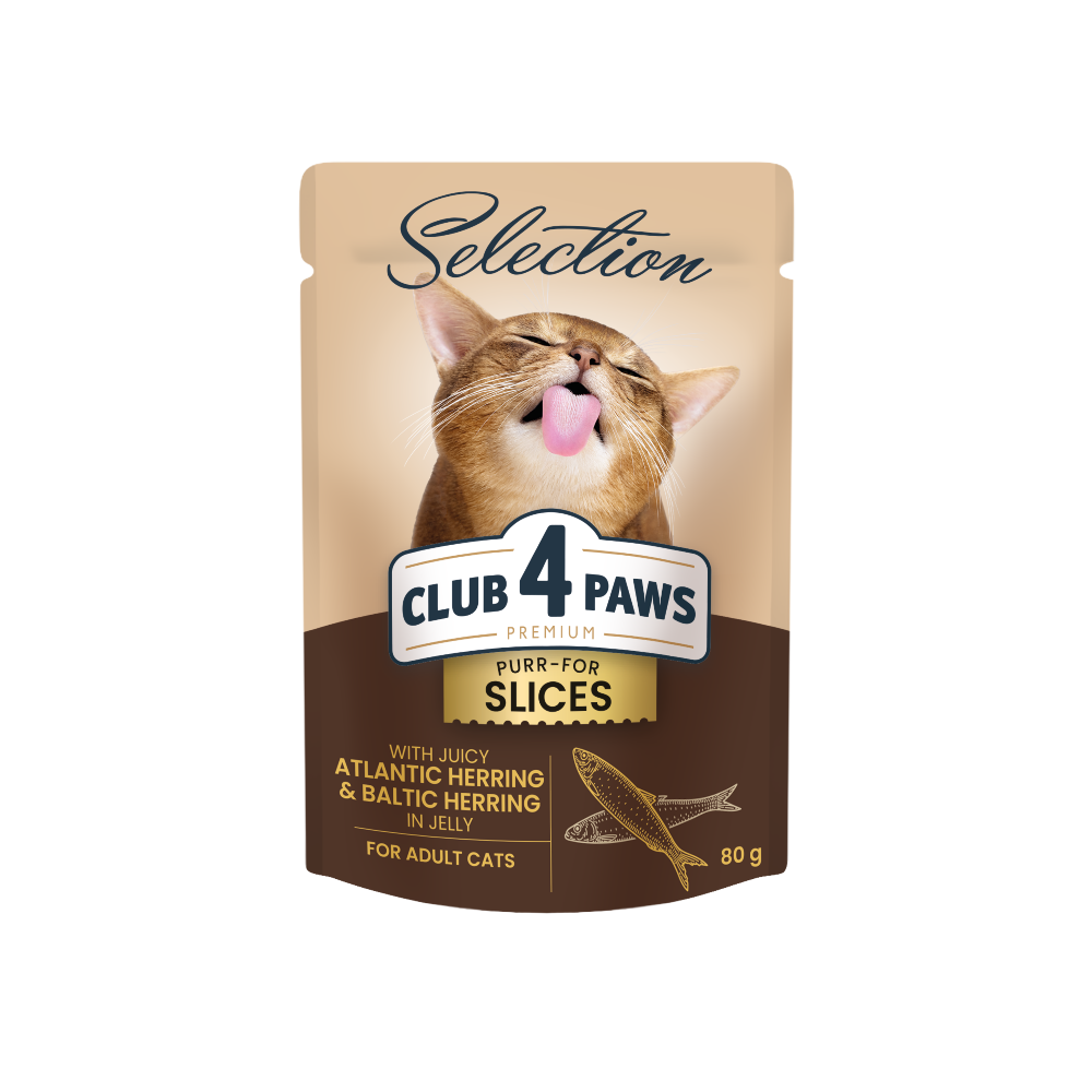 CLUB 4 PAWS Premium Plus Gabalėliai suaugusioms katėms su silke ir strimelėmis drebučiuose 12x85 gr