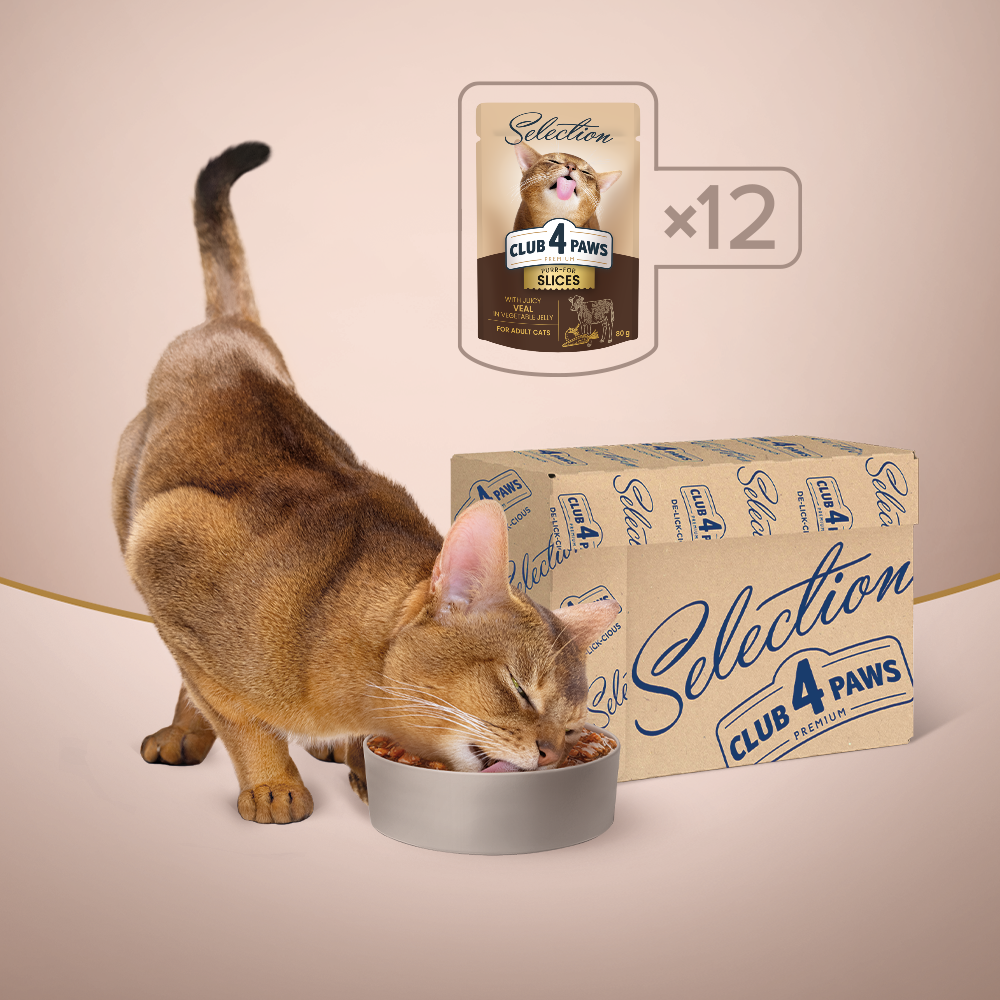 CLUB 4 PAWS Premium Plus Gabaliukai suaugusioms katėms su veršiena daržovių padaže 12vnt pakuotė
