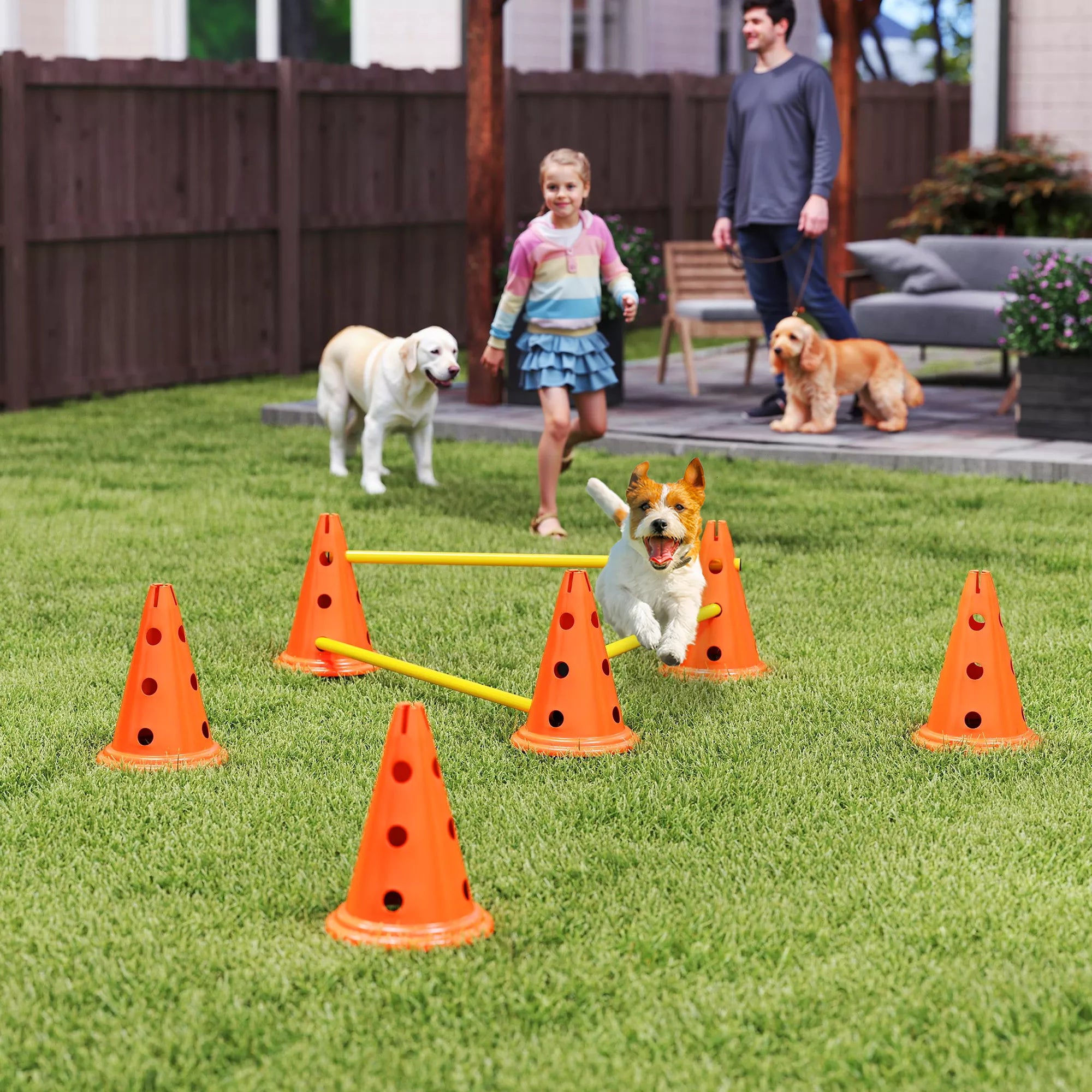 Agility rinkinys šunims 3 dalių agility įranga šunų dresūrai Stumiamų kliūčių rinkinys su 6 kūgiais 3 kliūtys Nešimo krepšys