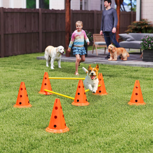 Agility rinkinys šunims 3 dalių agility įranga šunų dresūrai Stumiamų kliūčių rinkinys su 6 kūgiais 3 kliūtys Nešimo krepšys