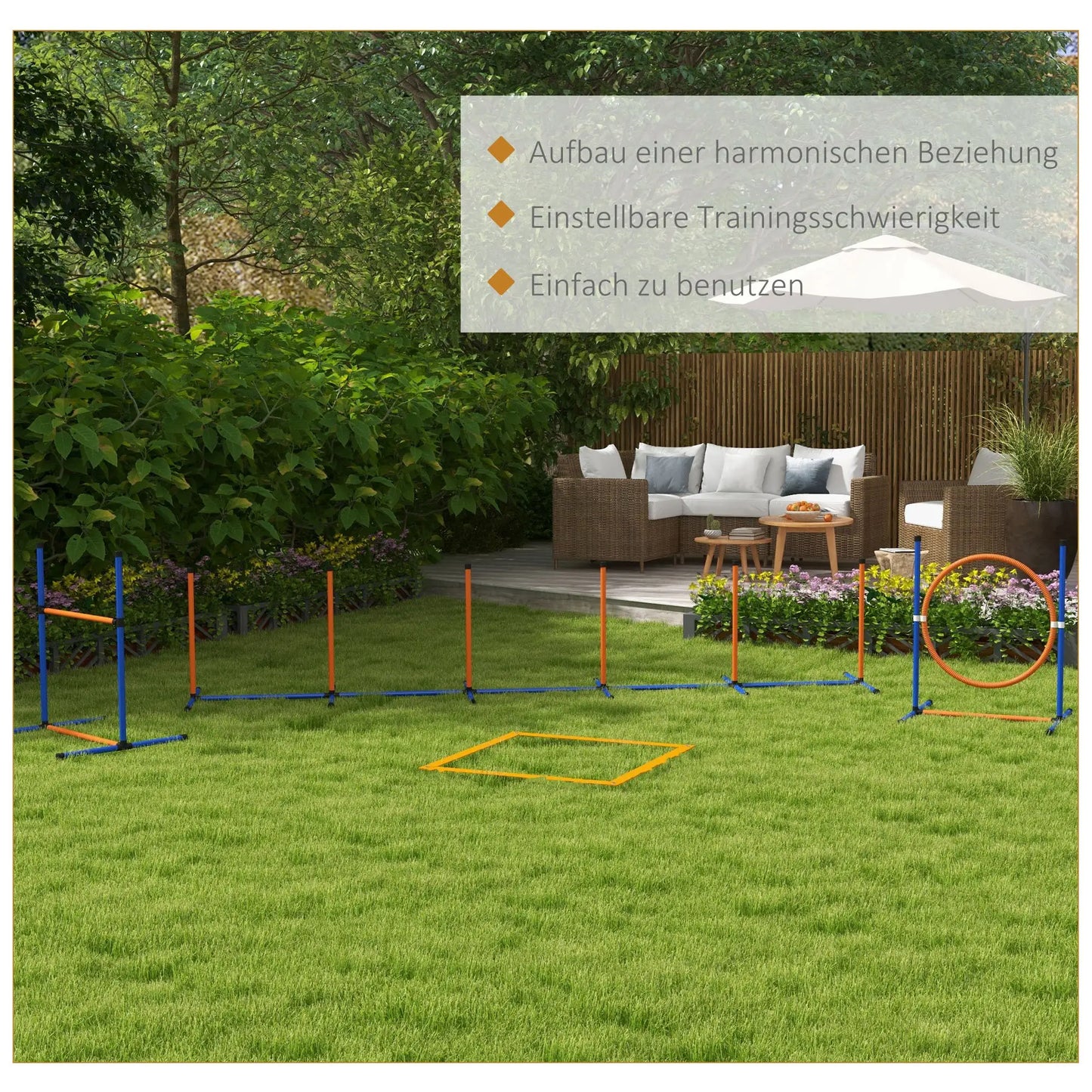 Šunų dresūros ir agility rinkinys, kliūtis, lankas ir slalomo komplektas