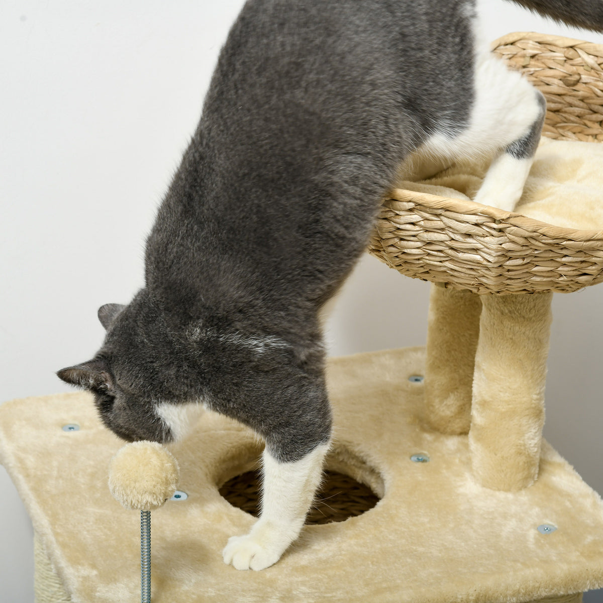 Draskyklė 74 cm su urveliu, gultu ir žaislu, 1–2 katėms iki 5 kg, smėlio spalvos