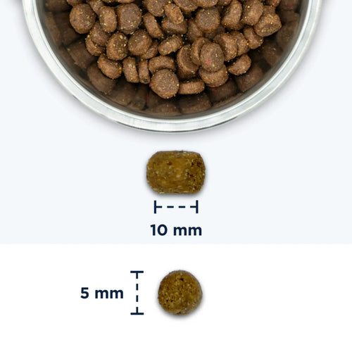 Eukanuba Base sausas maistas maistas su vištiena ir kepenėlėmis, 10 kg granulės