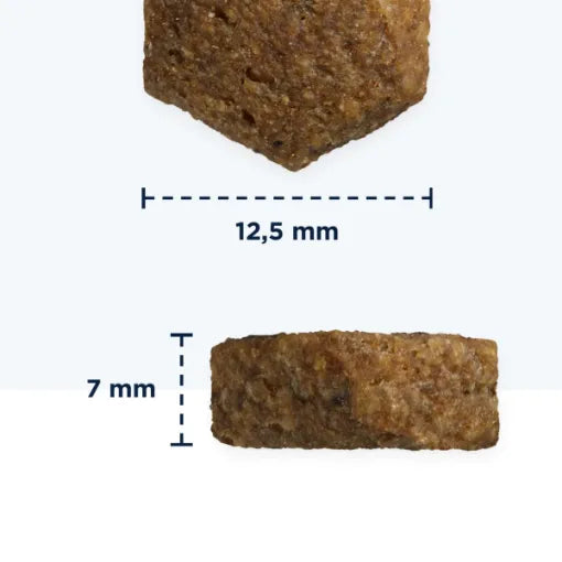 Eukanuba Veterinary Diets Intestinal Disorders Adult pašaras šunims sergantiems skrandžio ligomis 12kg grūdų išvaizda