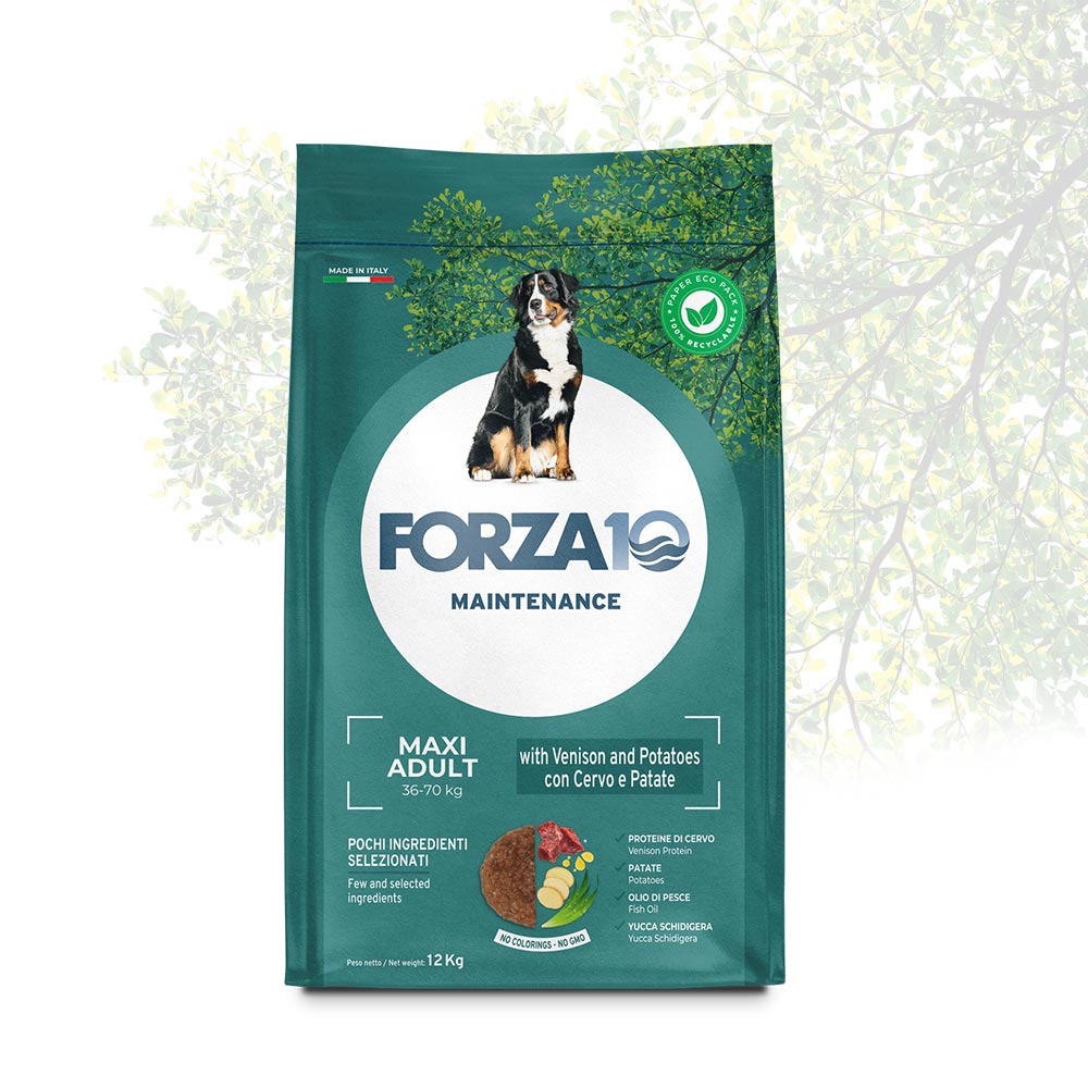 FORZA10 Maxi Adult Maintenance su elniena ir bulvėmis 12 kg