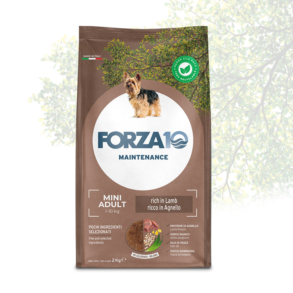 FORZA10 Mini Adult Maintenance su ėriena ir ryžiais 2 kg