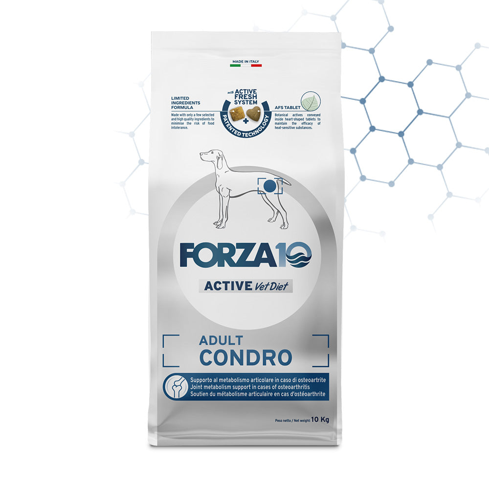 FORZA10 VetDiet Adult  Condro Active 10 kg