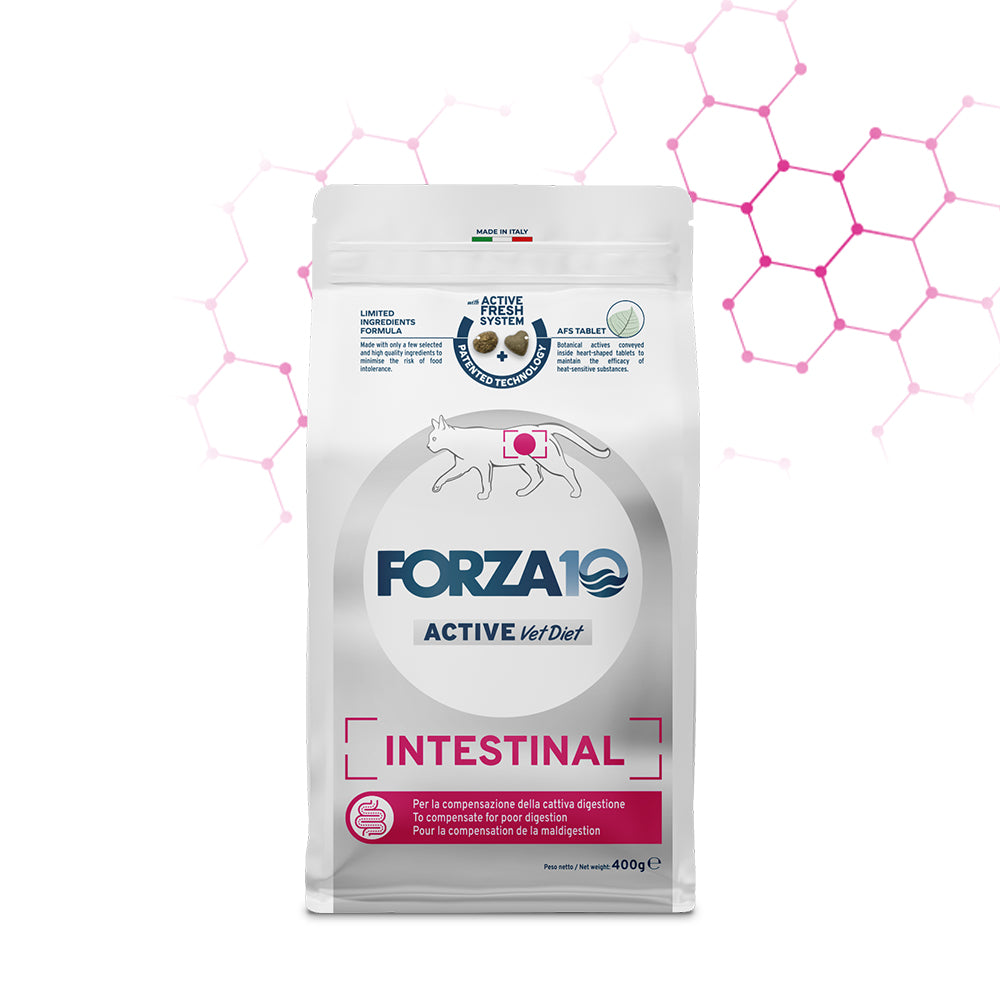 Forza10 Active VetDiet Intestinal katėms