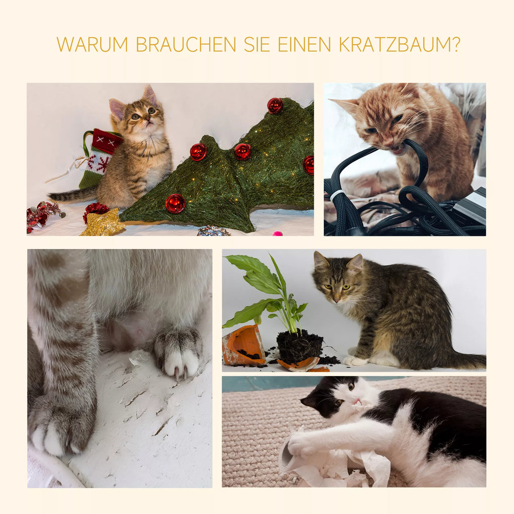 Kaķu māja līdz griestiem, regulējams augstums, stabils kaķu koks ar sizala stabiem, kaķu kāpšanas koks, pelēks, 40 x 34 x 230-260 cm