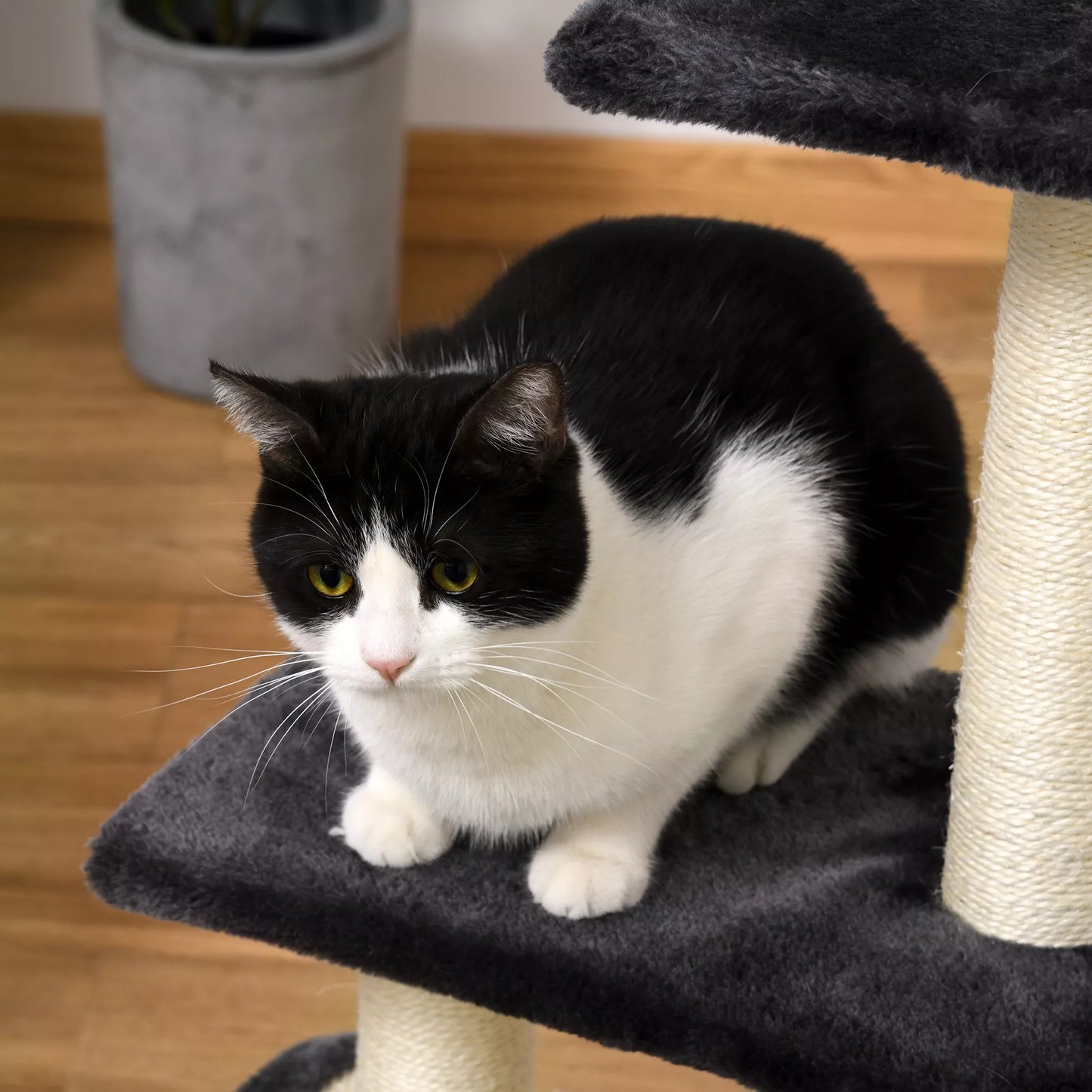 Kačių draskyklė 72 cm Kačių bokštas su pliušiniais kamuoliukais, sizaliniai stiebai, platforma, draskyklė, daugiaaukštė kačių draskyklė, laipiojimo medis, vidutinio dydžio katėms, pilka