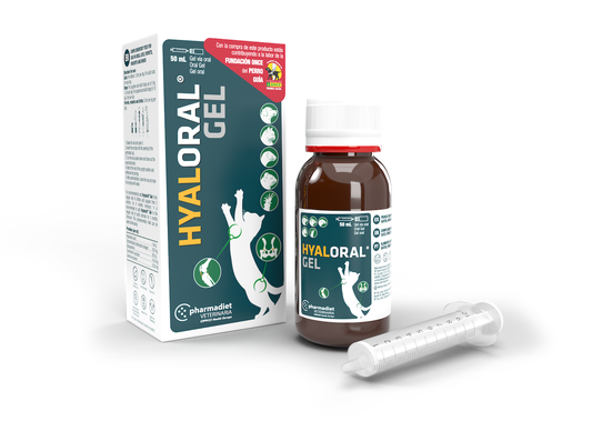 Hyaloral Gel Papildai sąnariams 50 ml
