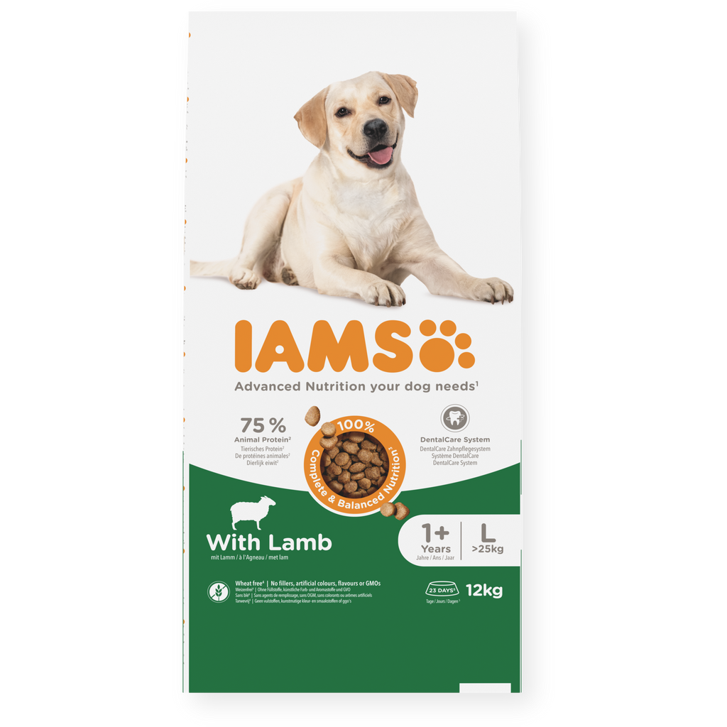 IAMS sausas maistas didelių veislių šunims su ėriena, L, 12 kg