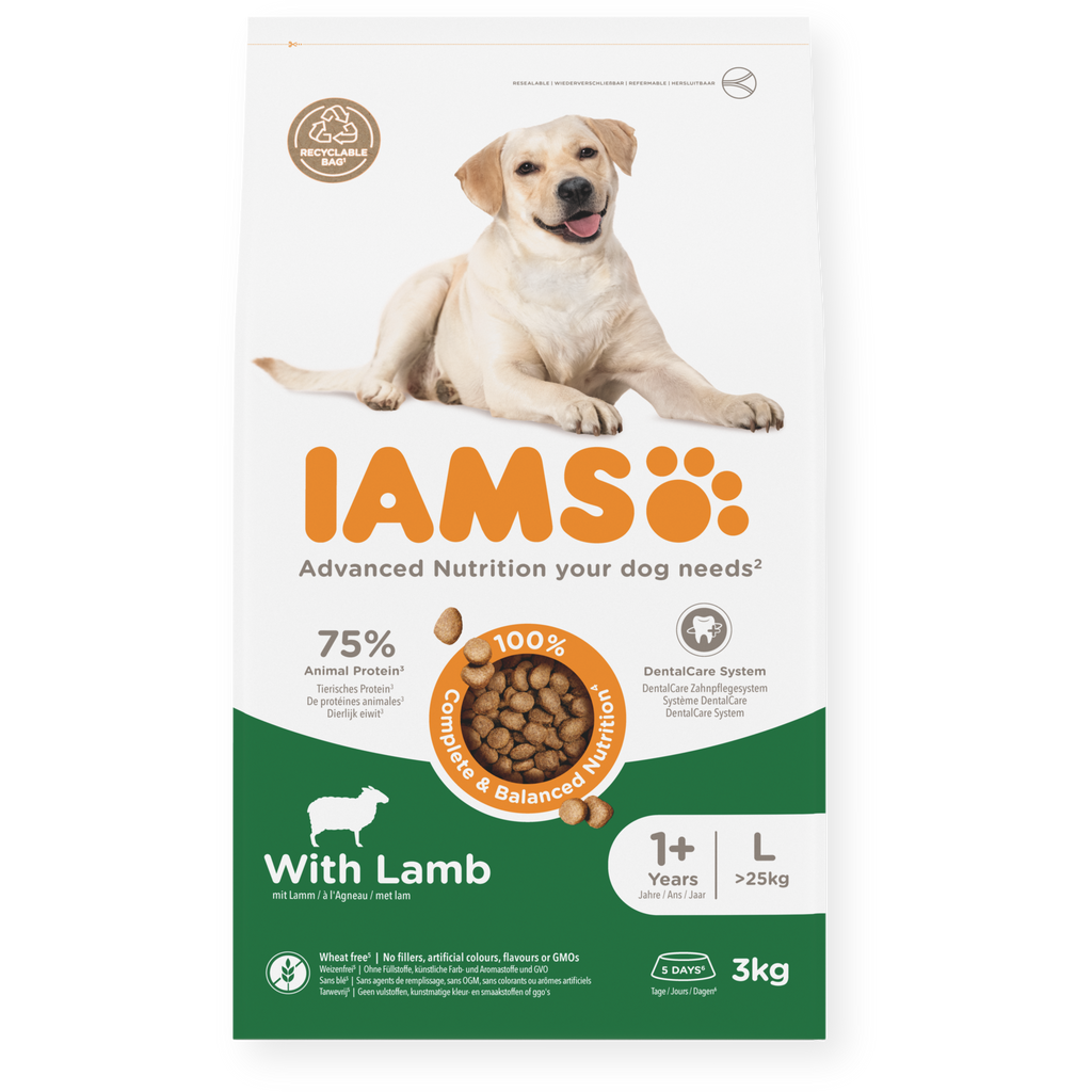IAMS sausas maistas didelių veislių šunims su ėriena, L, 3 kg