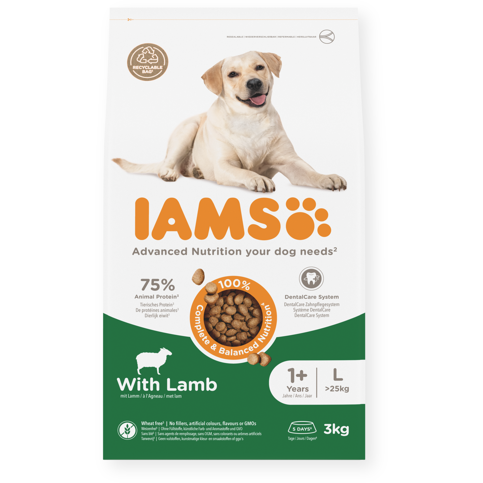 IAMS sausas maistas didelių veislių šunims su ėriena, L, 3 kg