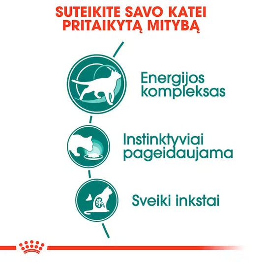 Instinctive 7+ drėgnas pašaras katėms Royal Canin (ploni griežinėliai padaže) nauda