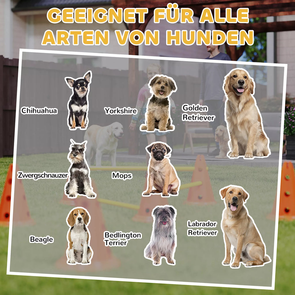 Agility rinkinys šunims, 6 dalių agiliti įranga šunų dresūrai, sudėjamų kliūčių rinkinys su 12 kūgių, 6 barjerų ir nešiojimo krepšiu