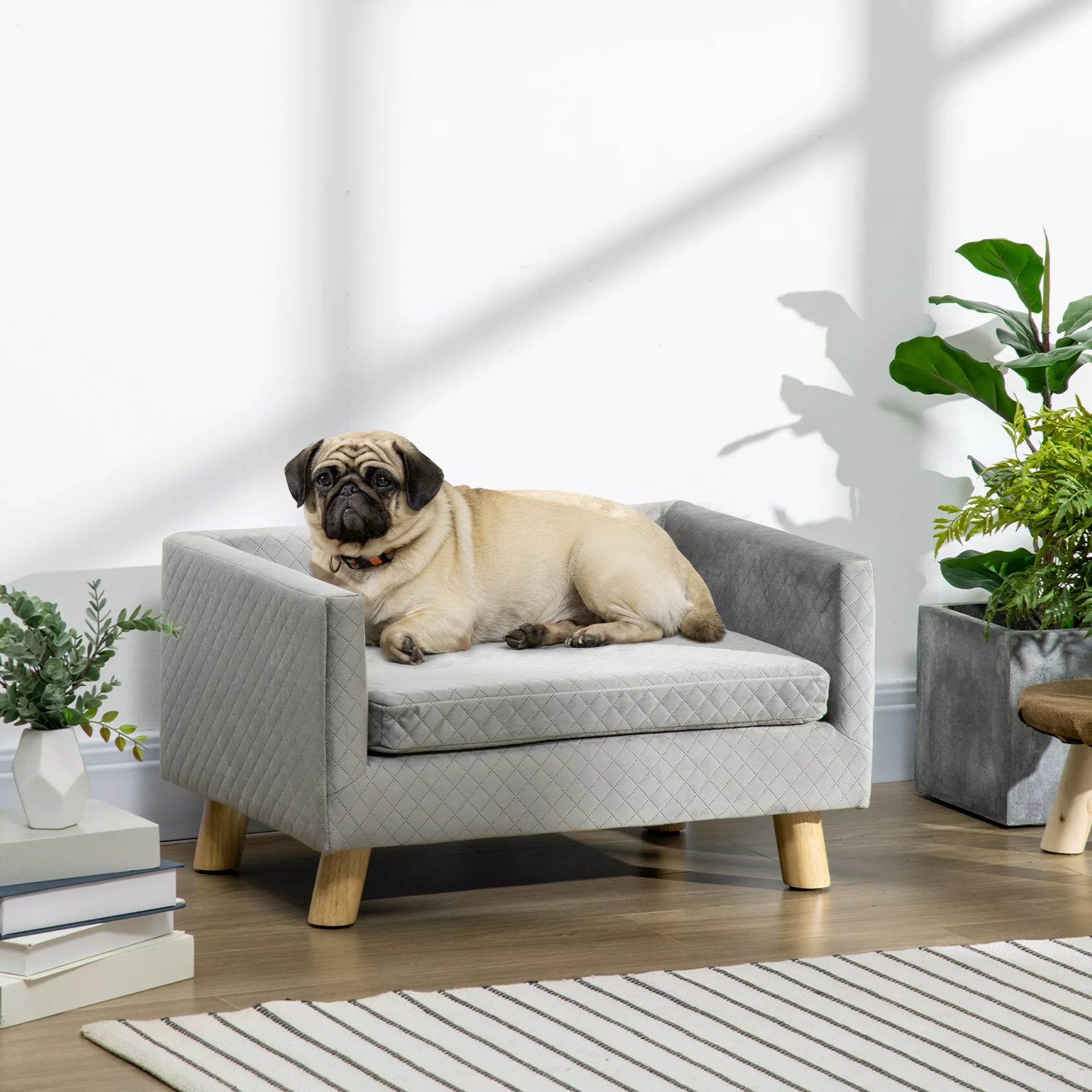 Šunų sofa su medinėmis kojelėmis, šunų lova, naminių gyvūnėlių sofa, šunų kilimėlis mažam šuniui iki 8 kg, aksominio lietimo, pilka, 64 x 45 x 36 cm