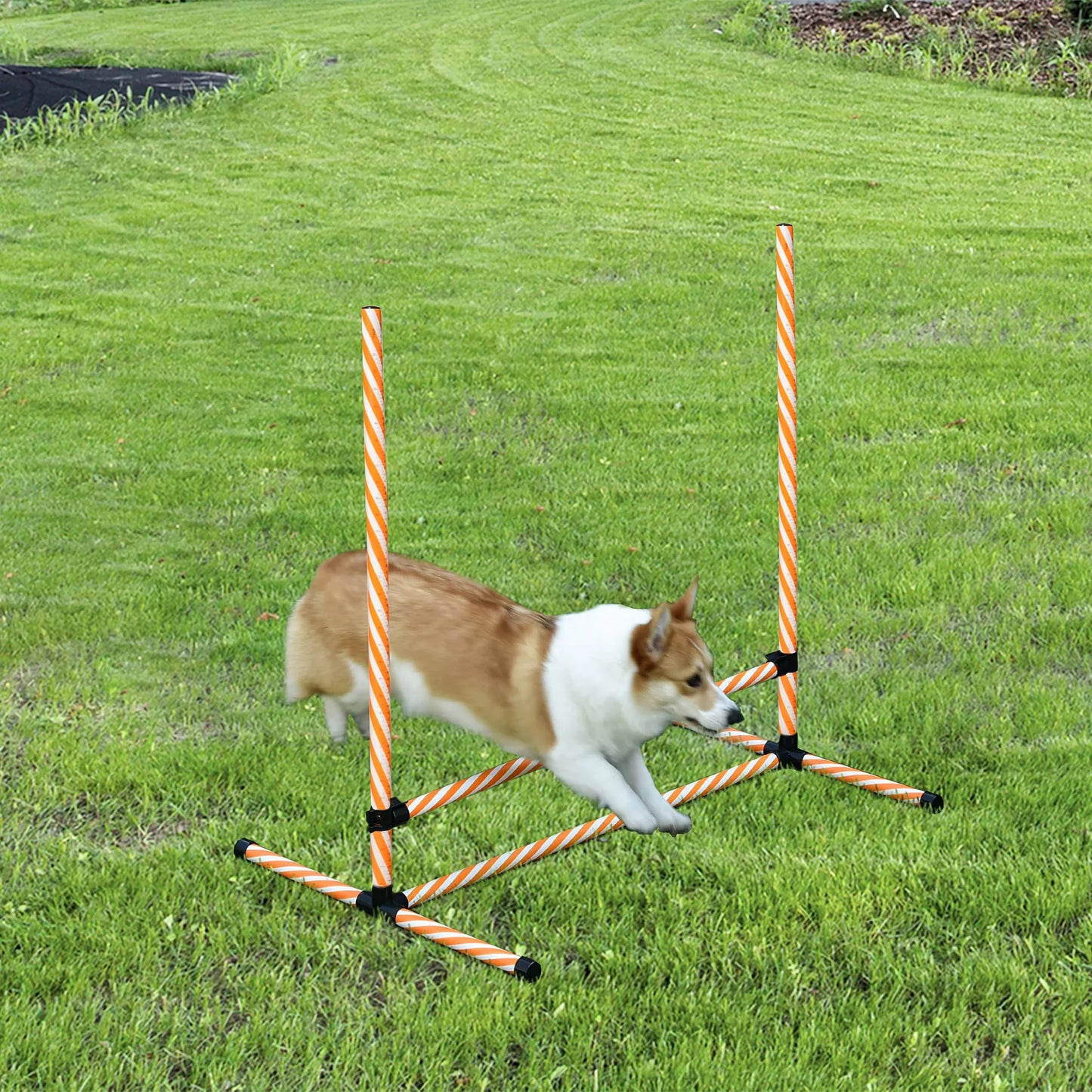 Agility rinkinys šunims, 6 vnt. Agility įrangos rinkinys su supynimo kartimis, švilpuku, šunų dresūros reikmenys su nešiojimo krepšiu, parkui, sodui, oranžinė