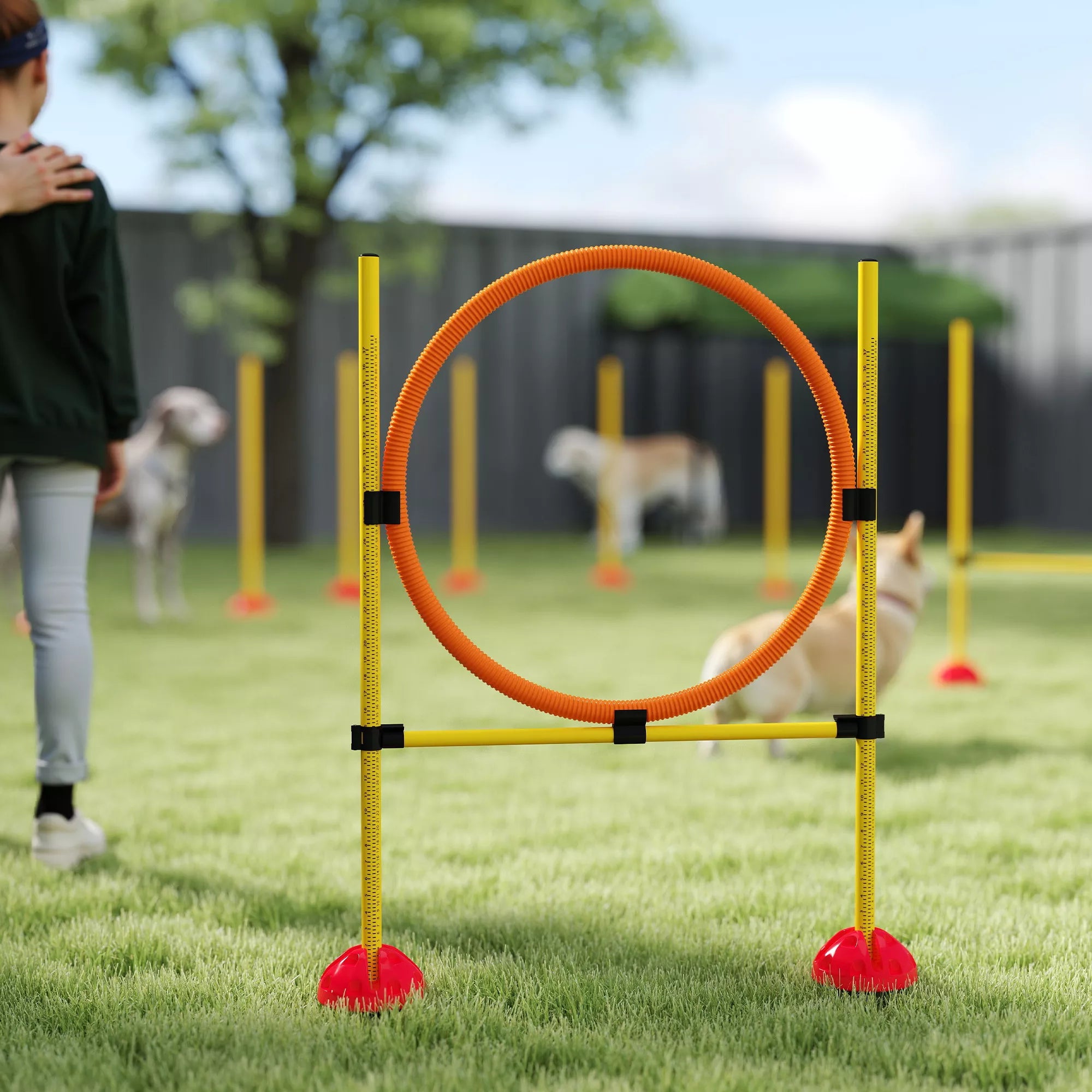 3 dalių šunų agility rinkinys, užpildomas. Agility įranga šunų dresūrai, šuolių kliūčių ir slalominių stulpų rinkinys.