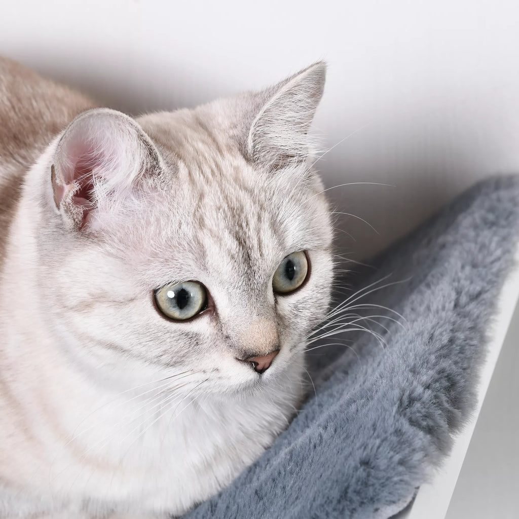 Kaķu gulta pie sienas, kaķu plaukts ar plīša polsterējumu, pelēks, 41 x 28 x 21 cm