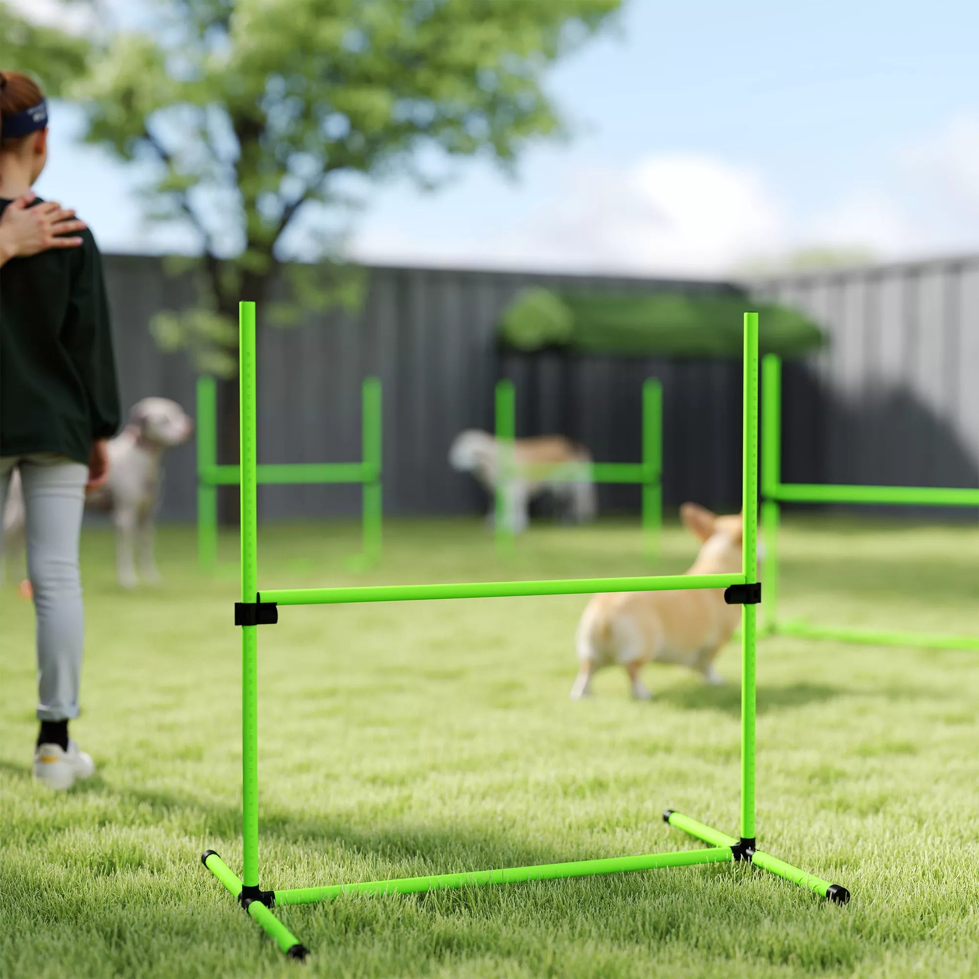 Agility rinkinys šunims 4 dalių aukščio reguliuojama agility įranga su 4 kliūtimis Nešimo krepšys 99 x 65 x 94 cm Žalia