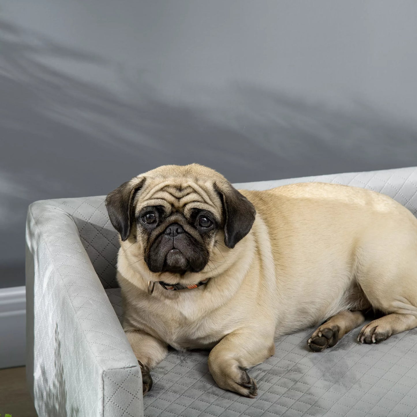 Šunų sofa su medinėmis kojelėmis, šunų lova, naminių gyvūnėlių sofa, šunų kilimėlis mažam šuniui iki 8 kg, aksominio lietimo, pilka, 64 x 45 x 36 cm