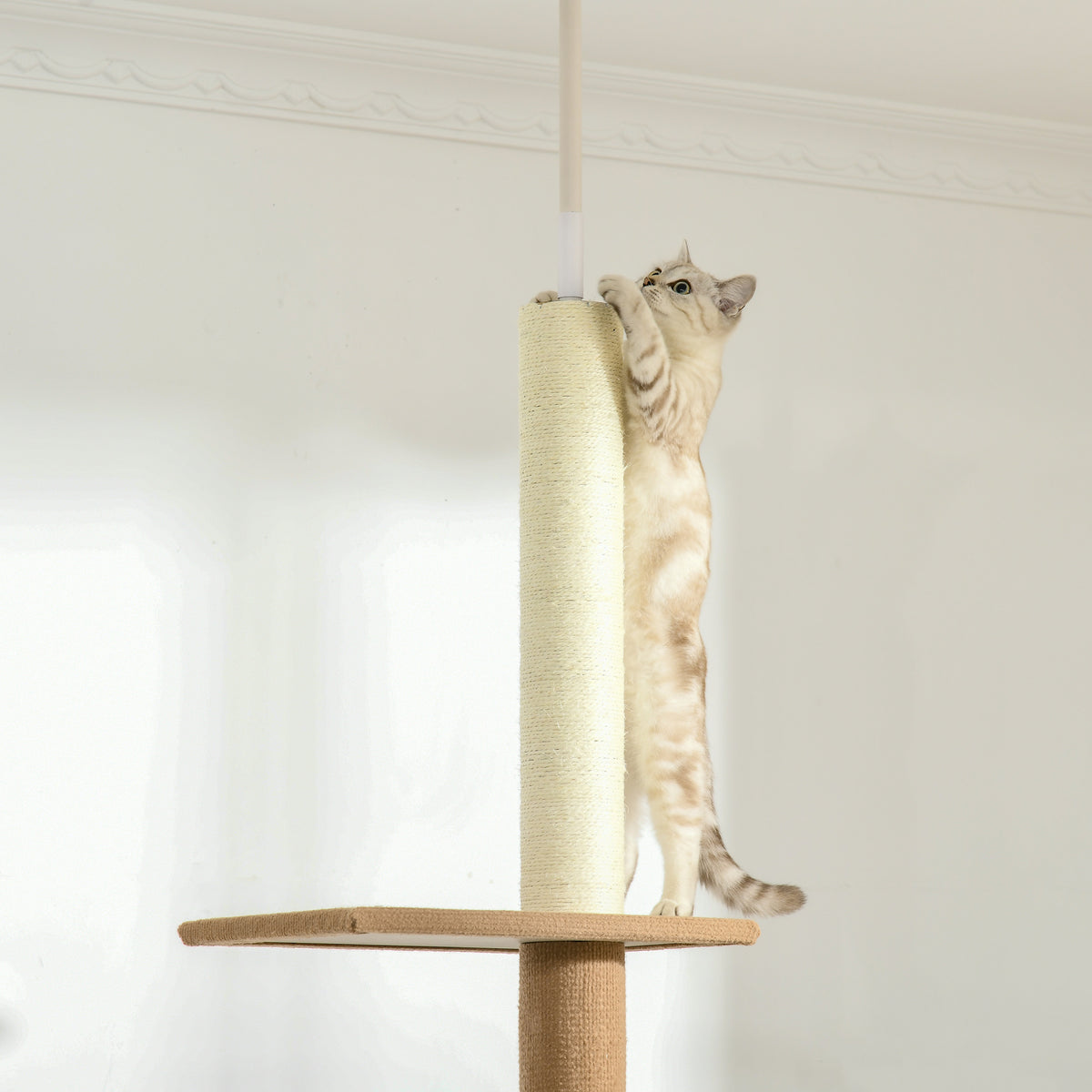 Draskyklė iki lubų 228–260 cm, reguliuojamo aukščio, su 4 platformomis, katėms iki 4 kg, chaki