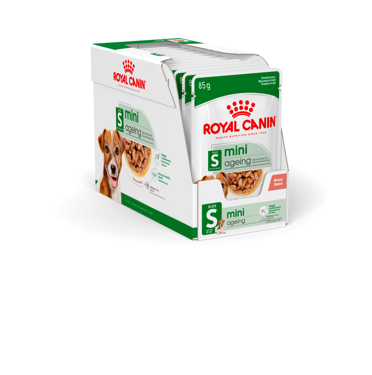 Konservai Mini Ageing mažų veislių vyresnio amžiaus šunims Royal Canin
