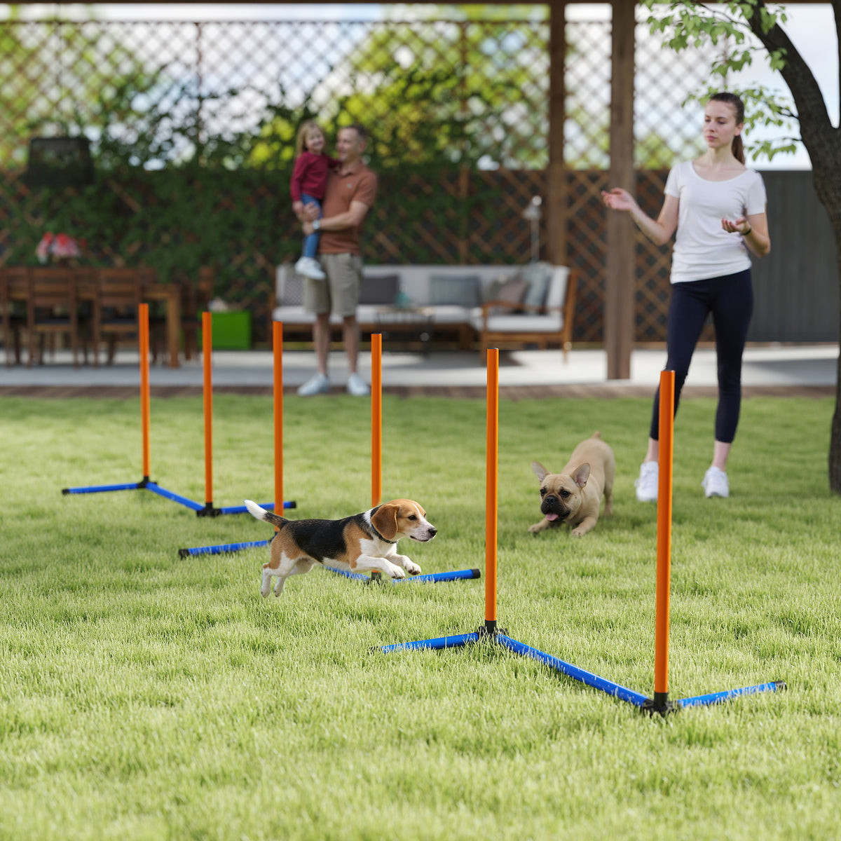 Agility slalomo stulpų rinkinys šunims, 3 dalių, su krepšiu, visų dydžių šunims, oranžinis