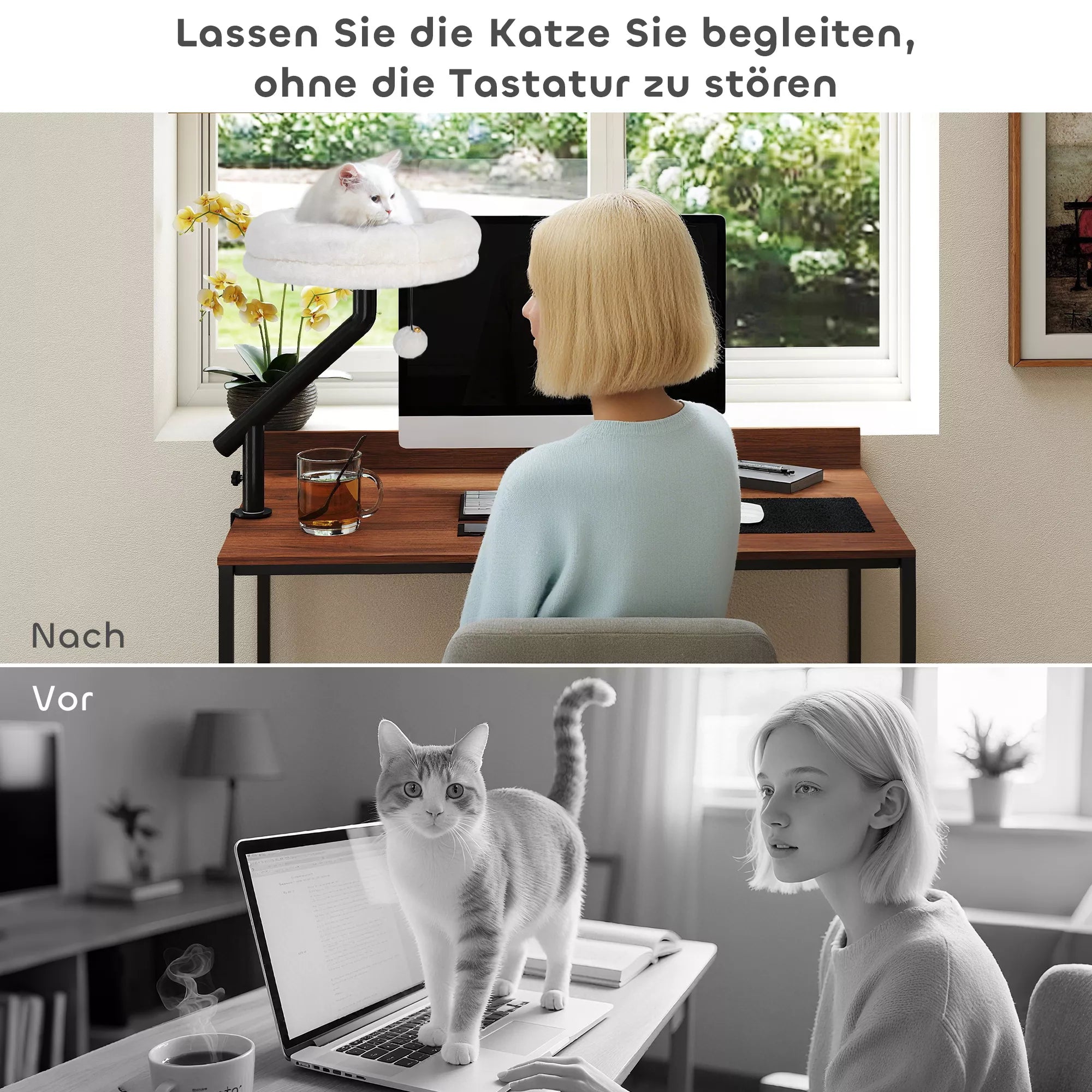 Katės lova prie rašomojo stalo, katės lova rašomajam stalui su 360° sukimusi, reguliuojamo aukščio, katės gultas su nuimamu, skalbiamu mašinoje guoliu, katėms iki 6 kg, namų biurui, kreminės baltos spalvos